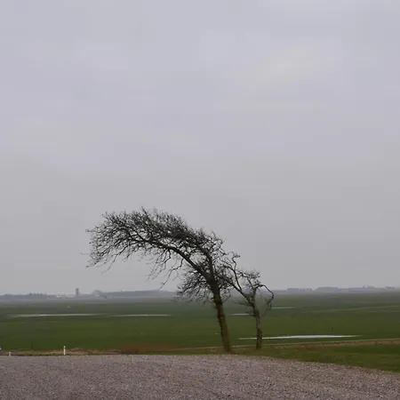 別荘 6 Person In Skaerbaek-by Traum